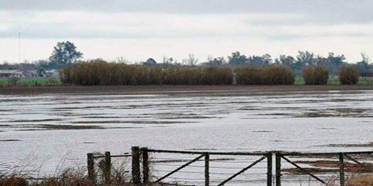 Por anegamientos, declararon la emergencia agropecuaria en Santa Fe