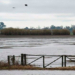 Por anegamientos, declararon la emergencia agropecuaria en Santa Fe