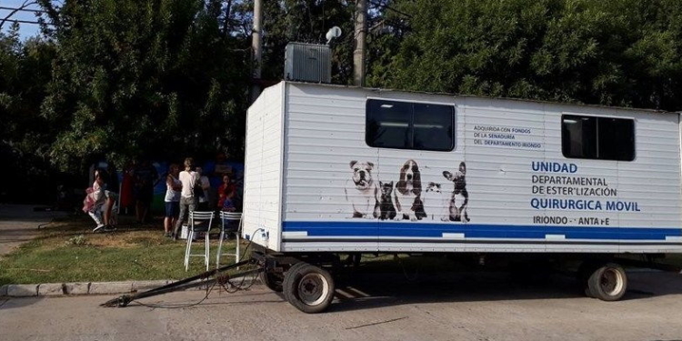 Preparan una jornada de castración en Totoras