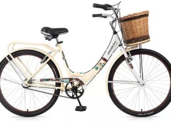 Denunciaron el robo de una bicicleta en Maciel