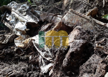 Macabro: hallaron restos óseos frente al cementerio de Oliveros