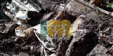 Macabro: hallaron restos óseos frente al cementerio de Oliveros