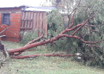 Una «cola de tornado» pasó por Salto Grande y ocasionó destrozos