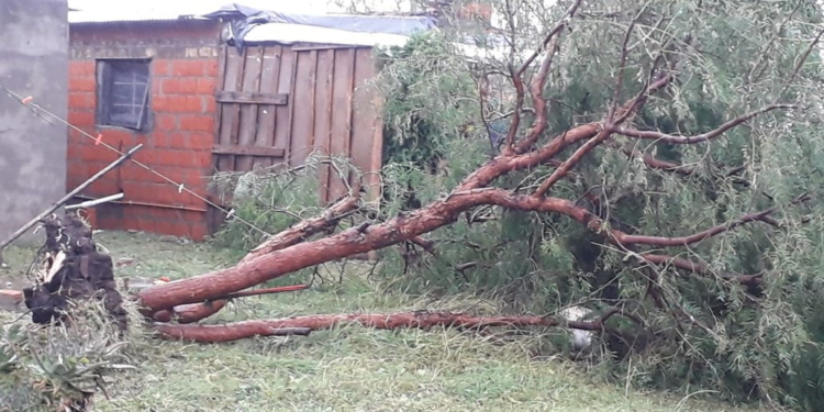 Una «cola de tornado» pasó por Salto Grande y ocasionó destrozos