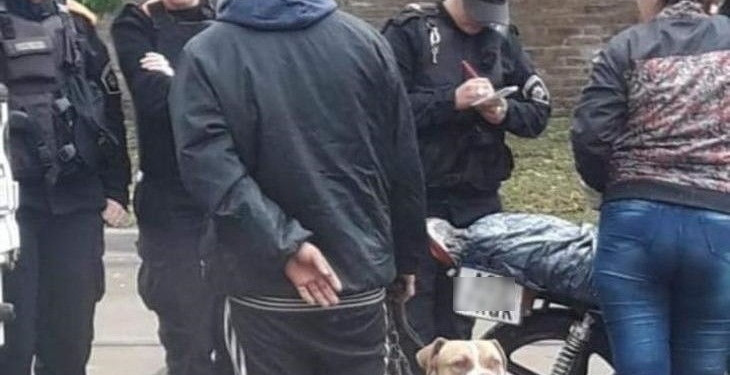 Llevaba un perro a la rastra desde una moto y fue demorado por «maltrato animal»