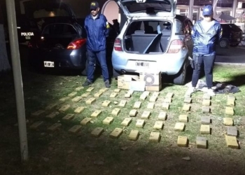 Narcotráfico: detuvieron a una ex concejala de la región