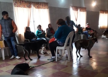 Exitosa jornada en Gaboto con 50 mascotas castradas