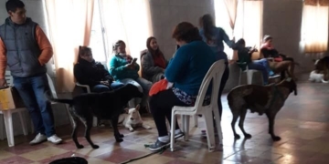 Exitosa jornada en Gaboto con 50 mascotas castradas