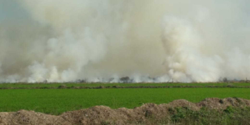 Un incendio en un campo alertó a los vecinos de Barrancas