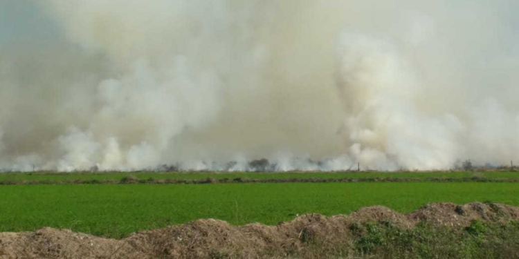 Un incendio en un campo alertó a los vecinos de Barrancas