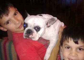 ¡Apareció Dorita! Tras tres meses encontraron a la perrita robada en Totoras