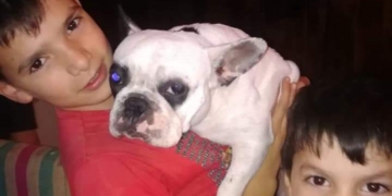 ¡Apareció Dorita! Tras tres meses encontraron a la perrita robada en Totoras