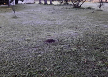 Primera helada del año en la región ¿Cómo estará el tiempo el fin de semana?