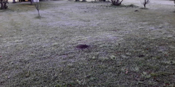 Primera helada del año en la región ¿Cómo estará el tiempo el fin de semana?