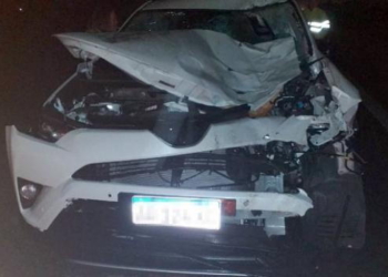 Un caballo fue atropellado en autopista y se produjo un triple choque