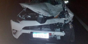 Un caballo fue atropellado en autopista y se produjo un triple choque