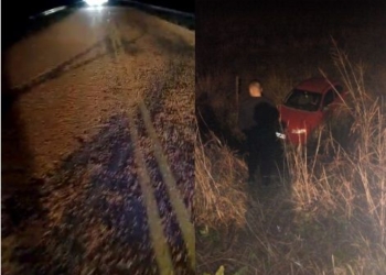 Un policía despistó producto del maíz que un camión perdió en la Ruta 65