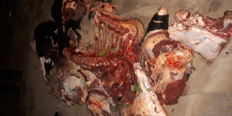 Abigeato en Gaboto: carne y armas secuestradas en tres allanamientos