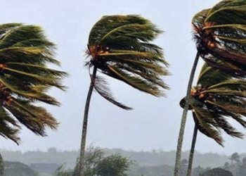 Alerta meteorológico por  «vientos fuertes» para la región