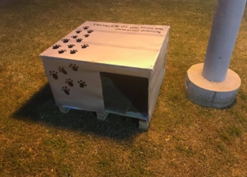 Totoras: arman cuchas para perros sin hogar destinadas a espacios públicos