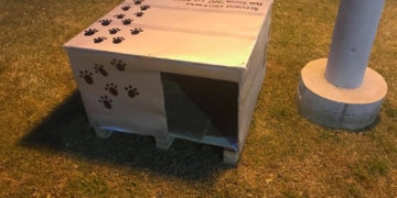 Totoras: arman cuchas para perros sin hogar destinadas a espacios públicos