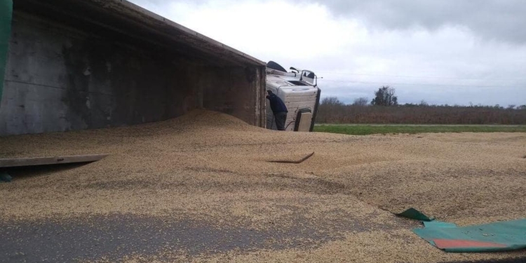 Un camión volcó y derramó su carga en autopista