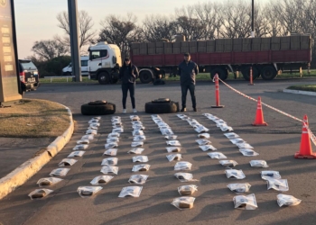 Así funcionaba la banda que fue desbaratada en Villa La Ribera