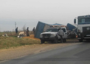 Timbúes: un camión cargado volcó a la vera de la Ruta 11