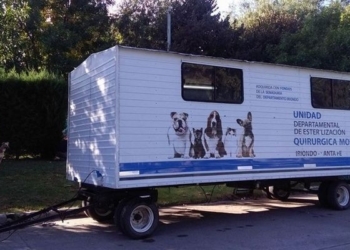 Más de 100 castraciones se realizaron en un solo día en distintas campañas