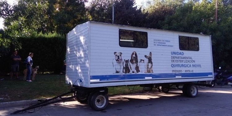 Más de 100 castraciones se realizaron en un solo día en distintas campañas