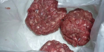 Desalmados: mataron a un perro en Maciel con vidrio molido