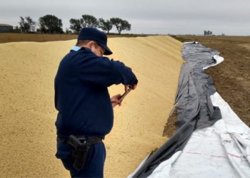 Barrancas: rompieron un silo bolsa y robaron 750 kilos de soja