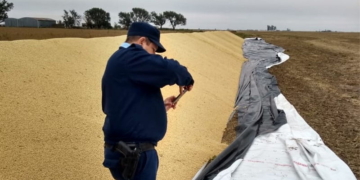 Barrancas: rompieron un silo bolsa y robaron 750 kilos de soja