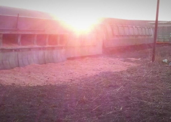 Un tren descarriló y perdió parte de su carga en Centeno