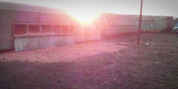 Un tren descarriló y perdió parte de su carga en Centeno