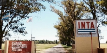 Proponen cultivar cannabis medicinal en el Inta de Oliveros