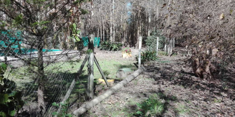 Andino: le robaron 15 metros de tejido y lo encontró de un vecino