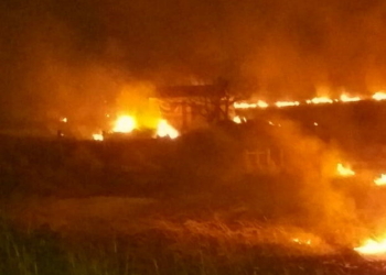 Impactante incendio de pastizales entre Díaz y Monje