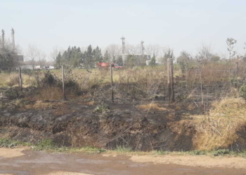 Bomberos y personal comunal controlaron un incendio en Maciel