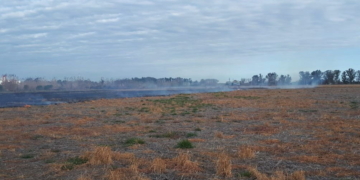 Las llamas consumieron kilómetros de pastizales a la vera de la autopista