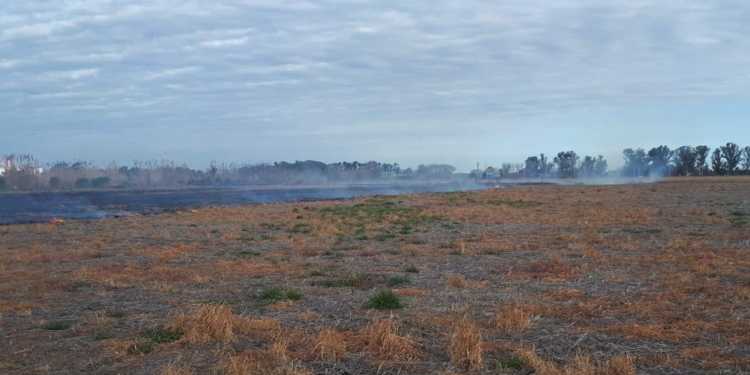 Las llamas consumieron kilómetros de pastizales a la vera de la autopista
