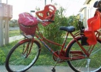 Una nena sufrió el robo de su bicicleta en una escuela de Totoras