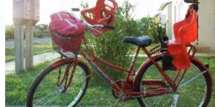 Una nena sufrió el robo de su bicicleta en una escuela de Totoras