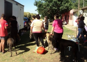 El último día del mes tendrá dos campañas de castración en la región