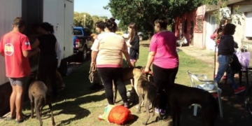 El último día del mes tendrá dos campañas de castración en la región