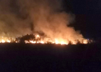 Bomberos sofocaron un gran incendio lindero a dos empresas del cordón industrial