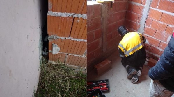 Bomberos de San Genaro rescataron a un perro atrapado en una obra en construcción