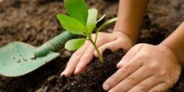 Defensores de Centeno se unió a la campaña «un árbol por el Amazonas»