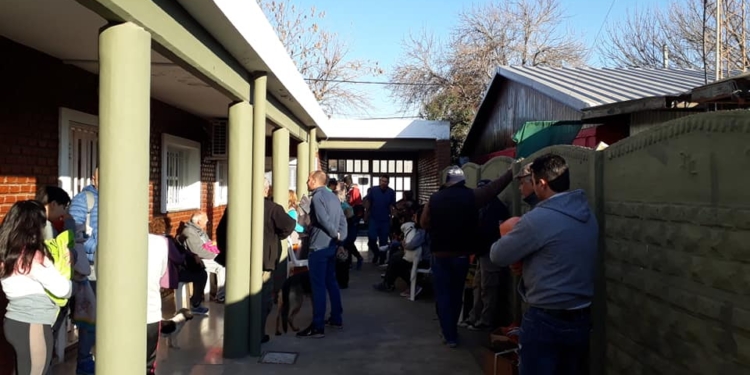 Localidades de la región realizaron nuevas jornadas con más de 100 animales castrados