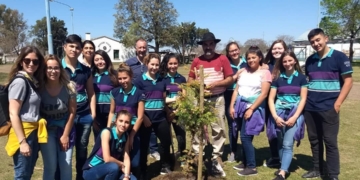 San Genaro: un histórico árbol seguirá viviendo a través de su retoño
